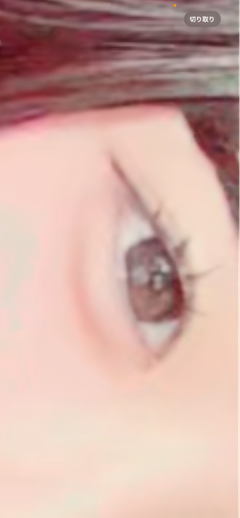 レビュー写真