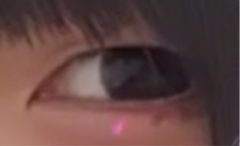 レビュー写真