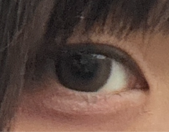 レビュー写真