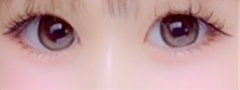 レビュー写真
