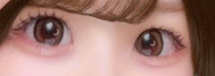 レビュー写真