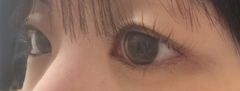 レビュー写真