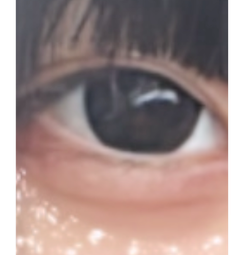 レビュー写真