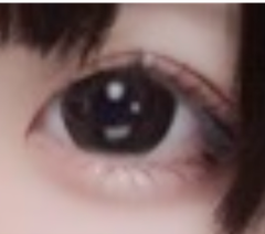 レビュー写真