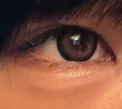 レビュー写真