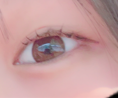 レビュー写真