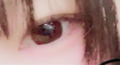 レビュー写真
