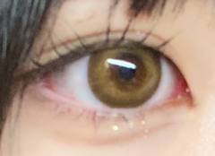 レビュー写真