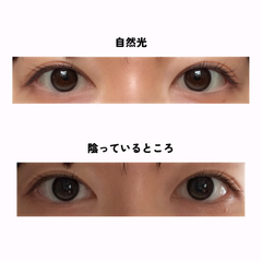 レビュー写真