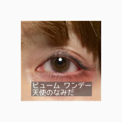 レビュー写真
