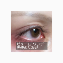 レビュー写真