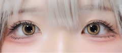 レビュー写真