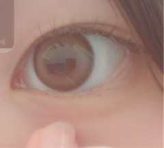 レビュー写真