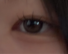 レビュー写真
