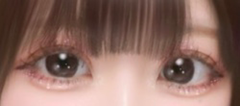 レビュー写真