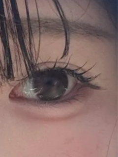レビュー写真