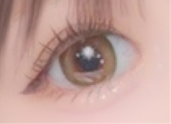 レビュー写真