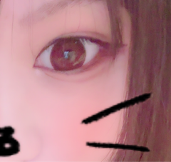 レビュー写真