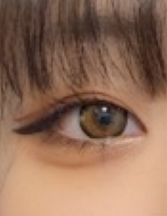 レビュー写真