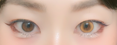 レビュー写真