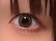 レビュー写真