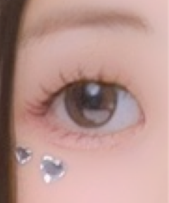 レビュー写真